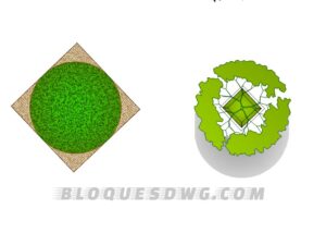 Descarga gratis vistas superiores de árboles para AutoCAD en formato DWG