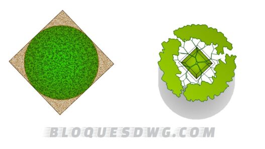 Descarga gratis vistas superiores de árboles para AutoCAD en formato DWG