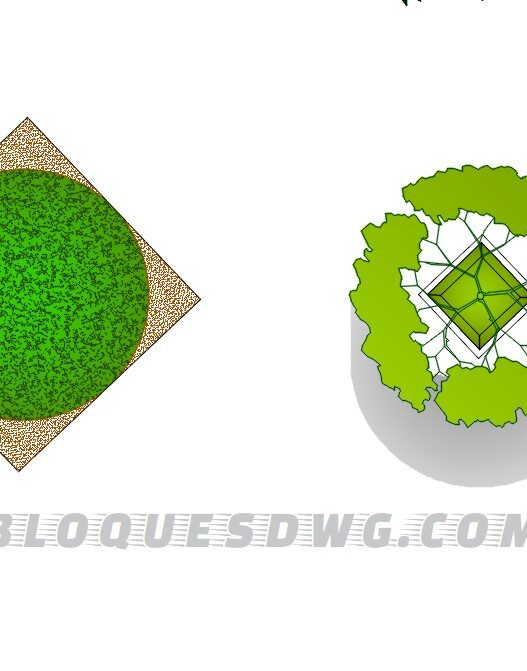 Descarga gratis vistas superiores de árboles para AutoCAD en formato DWG