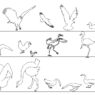 Descarga gratis bloques CAD de aves para AutoCAD