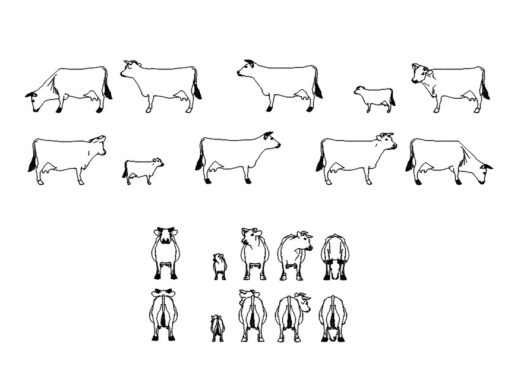 Descarga gratis bloques de animales para AutoCAD