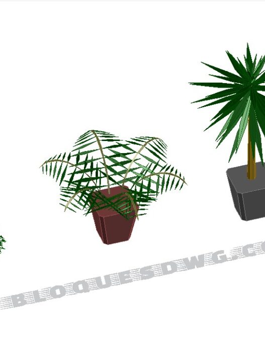Descarga gratis plantas interiores para AutoCAD en formato DWG