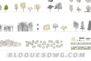 Descarga ahora elevaciones de árboles y plantas para AutoCAD gratis