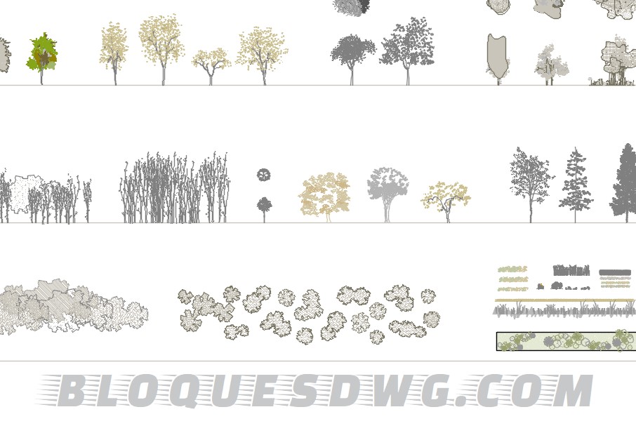 Descarga ahora elevaciones de árboles y plantas para AutoCAD gratis