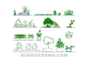 Descarga ahora plantas pequeñas para AutoCAD en formato DWG