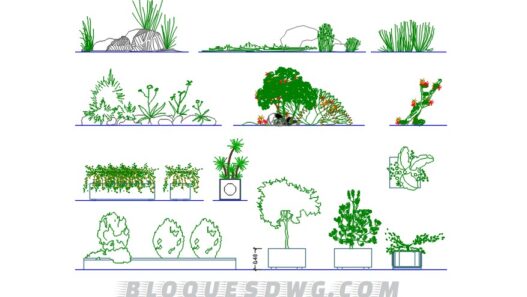 Descarga ahora plantas pequeñas para AutoCAD en formato DWG