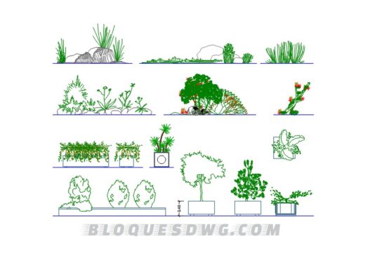 Descarga ahora plantas pequeñas para AutoCAD en formato DWG