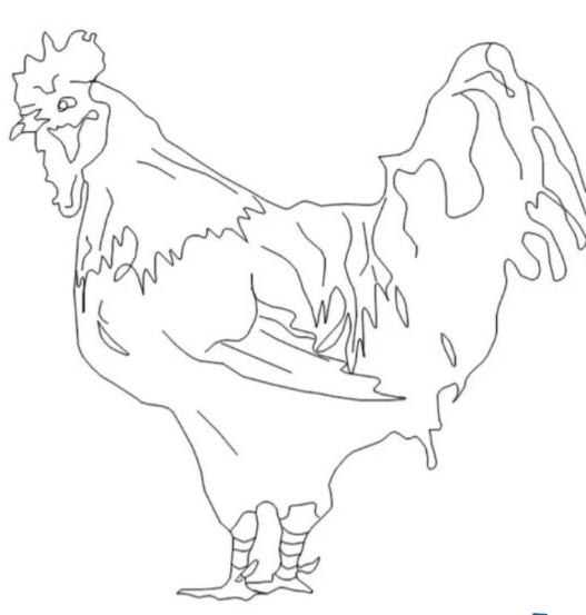 Bloques AutoCAD de gallinas y pollos en elevación para planos de granjas avícolas, proyectos agropecuarios y diseño rural.