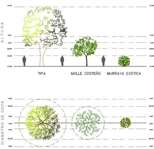 Bloques AutoCAD de árboles en 2D con vistas en planta y alzado, incluyendo especies y proporciones para proyectos de paisajismo.