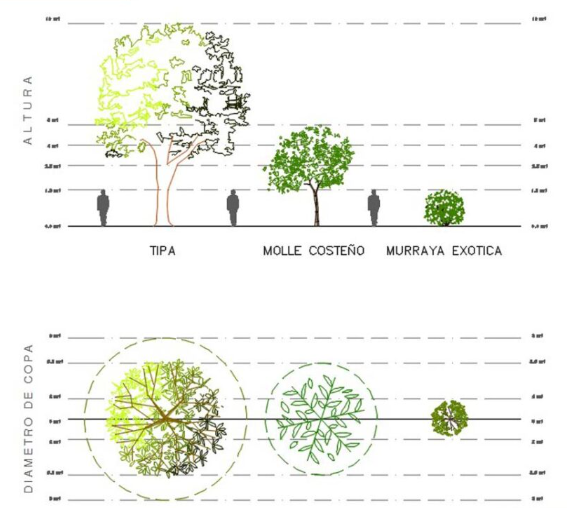 Bloques AutoCAD de árboles en 2D con vistas en planta y alzado, incluyendo especies y proporciones para proyectos de paisajismo.